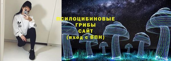 молекула духа Волоколамск
